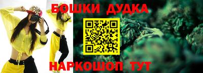 сатива Лесосибирск